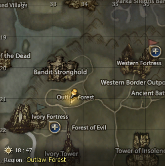 Outlaw Forest.jpg