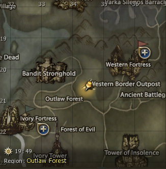 Outlaw Forest 1.jpg